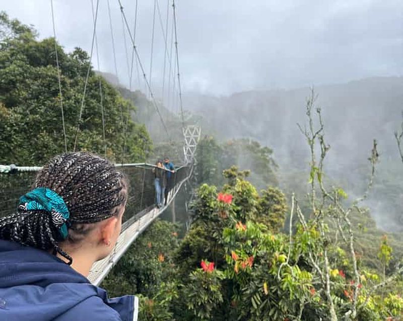 1 jour : De Kigali, l'aventure de la marche dans la canopée à Nyungwe