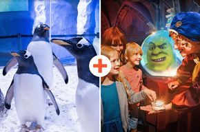 SEA LIFE London & DreamWorks Shrek's Adventure : Billet combiné