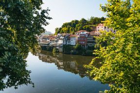 Porto : Vallée du Douro avec déjeuner dans un domaine viticole, dégustations et croisière