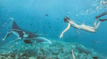 Bali/Nusa Penida : Plongée avec tuba à Manta Point et visite de la côte ouest