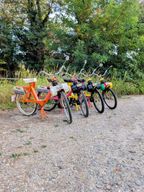 Argelès-sur-Mer : balade guidée en Solex avec dégustation de vin