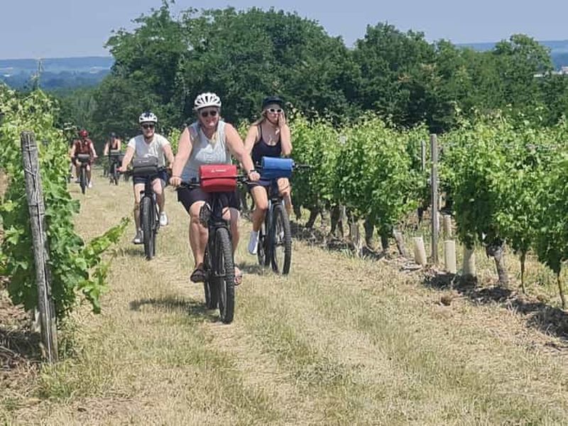Angers : Circuit cycliste avec dégustation de vins !