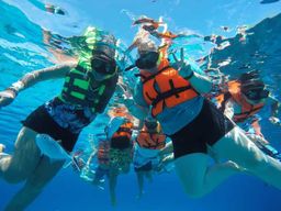Cozumel : Plongée avec tuba à Playa El Cielo avec boissons, ceviche et plus