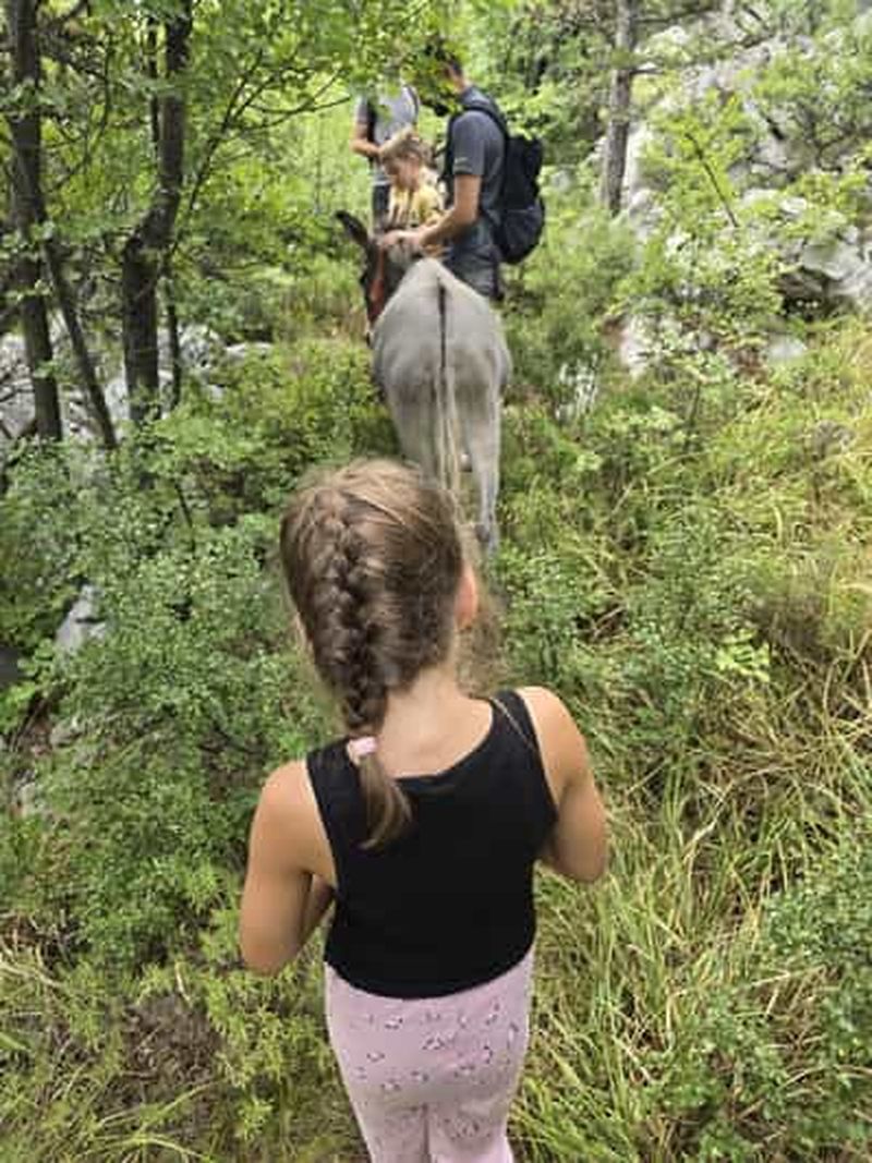 Promenade guidée à dos d'âne à Kvarner/Šmrika, grotte et lieu de pique-nique panoramique