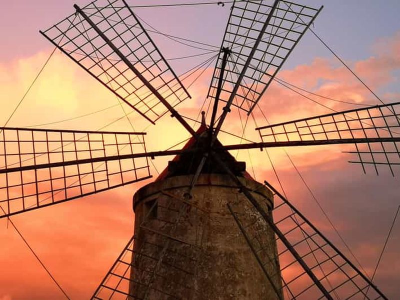 Saline di Trapani : visite guidée de 2h30 sur le thème du sel