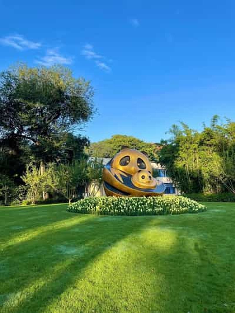 Chengdu : Billet pour la base de recherche sur les pandas ou visite privée avec transfert