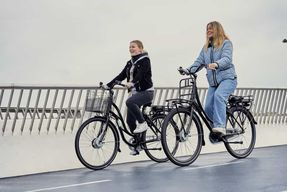 Copenhague : visite guidée en vélo électrique