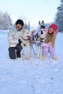 Lappeenranta : visite d'une ferme de huskies, promenade en traîneau et tipi