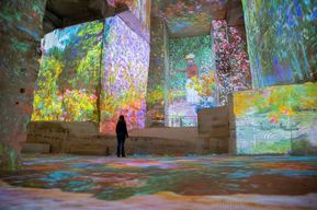 Les Baux-de-Provence: Carrières des Lumières billet Monet/Douanier Rousseau
