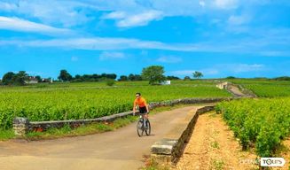 Beaune : Visite des vignobles à vélo avec dégustation de vins