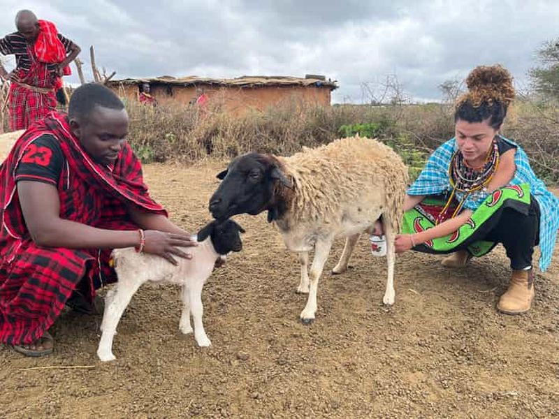 Au départ de Nairobi : excursion d'une journée dans un village Maasai