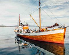 Tromsø : pêche et croisière dans les fjords