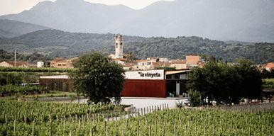 Empordà : visite de la cave La Vinyeta avec dégustation de vins