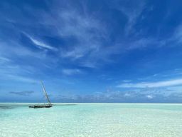 Excursion privée exclusive en boutre et snorkeling à Jambiani, Zanzibar