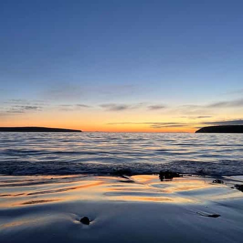 Plages et falaises des Orcades
