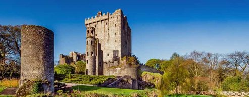 Visite d'une demi-journée du château de Blarney et de Kinsale au départ de Cork (matin)