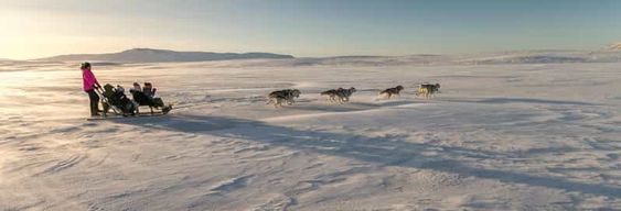 Balade hivernale en traîneau à chiens près de Reykjavik