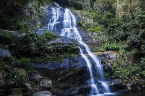 Rio de Janeiro : Visite guidée du jardin botanique et de la forêt de Tijuca