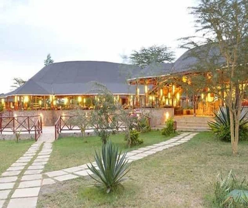 Au départ de Nairobi : Safari de 2 jours au lac Bogoria et au lac Nakuru