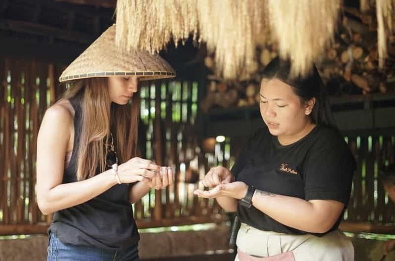 Ubud : Bali Pulina Tour avec Swing & Tegallang Rice Terrace