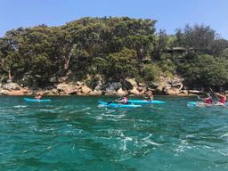 Sydney : Visite guidée en kayak des plages de Manly Cove