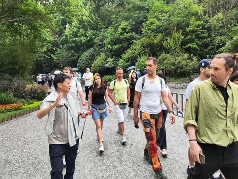 Chengdu : visite d'une demi-journée au centre de recherche du panda ou visite d'une journée pandas et bouddha