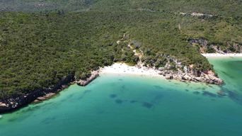 Setúbal : transfert en bateau vers les plages d'Arrábida