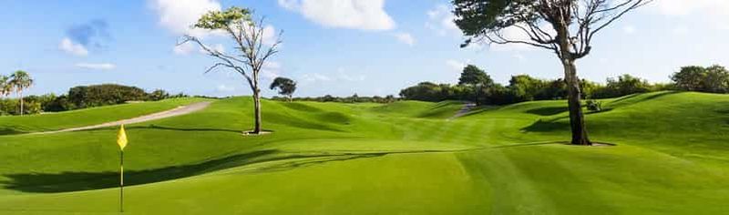 Iberostar Playa Paraiso Golf Club | Tee time Riviera Maya