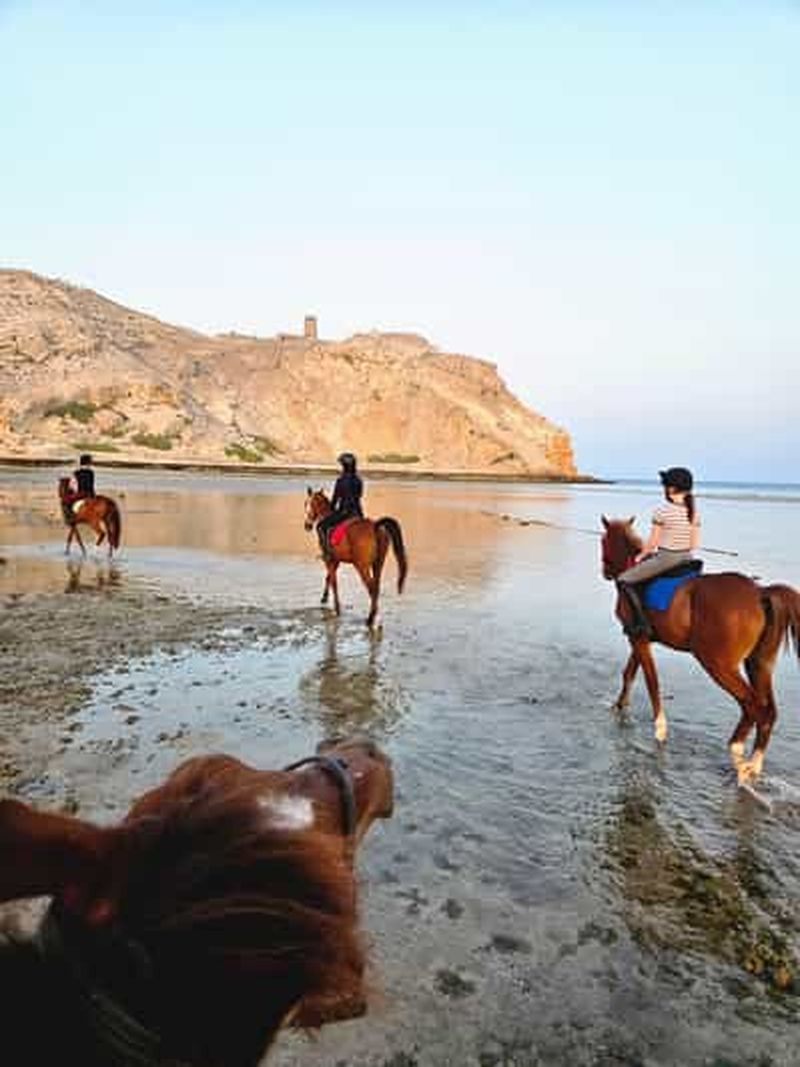 Randonnée à cheval à Muscat | Randonnée à cheval sur la plage