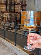 Visite Site de Production Rhum Braud&Quenesson au Marin