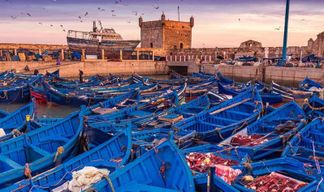 Au départ de Marrakech : excursion d'une journée en petit groupe à Essaouira et Sekkala