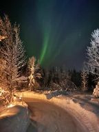 Levi : patinage sur glace dans la forêt arctique de Lovimainas (1 km)
