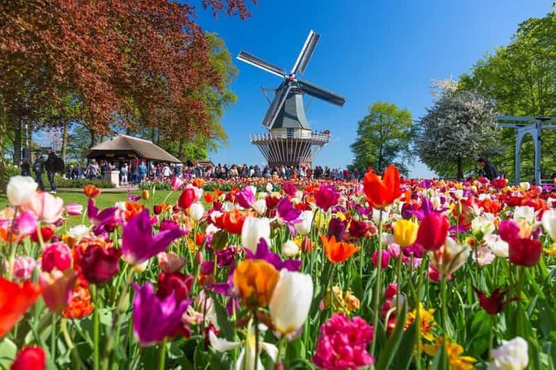 Amsterdam : entrée au Keukenhof et navette avec retour flexible