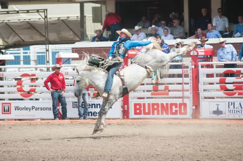 Rodeo de l'après-midi du Stampede de Calgary
