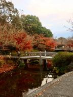 Nagoya : Voyage au Nagashima Outlet Mall et au parc Nabana no Sato