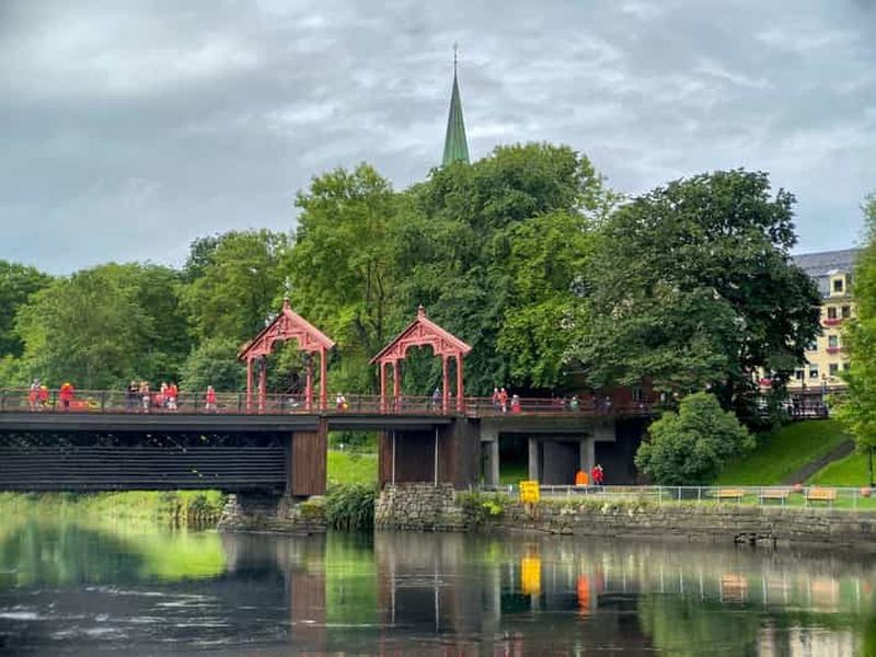 Trondheim : Visite en bus et à pied des points forts de la ville