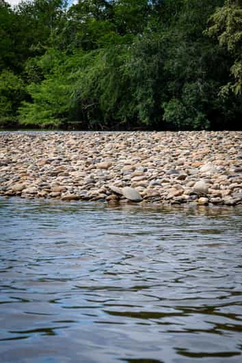 Visite communautaire et biodiversité du désert de la Tatacoa à Neiva