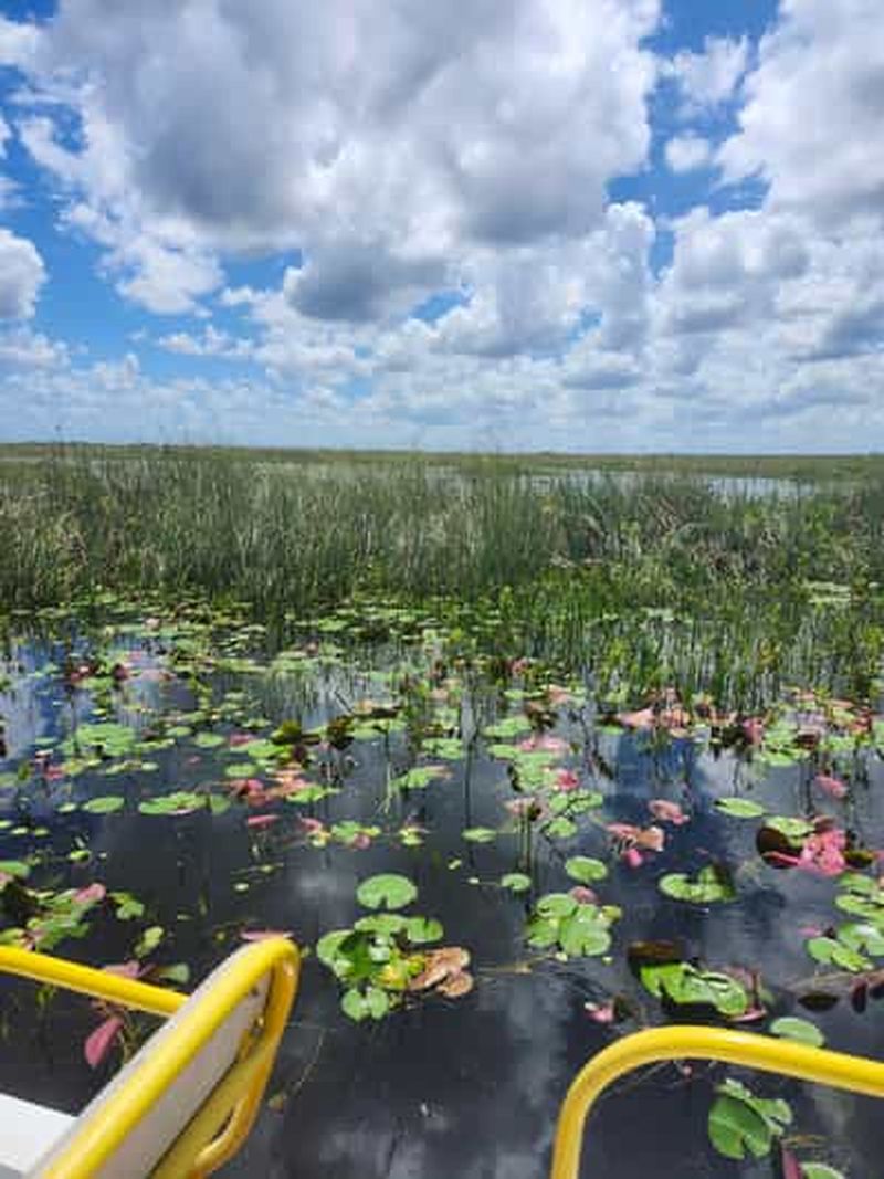 Excursion en hydroglisseur écologique dans les Everglades en petit groupe et transport haut de gamme