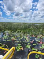 Excursion écologique en hydroglisseur dans les Everglades et 2 îles privées