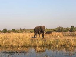 Safari en 4x4 et promenade à dos de rhinocéros