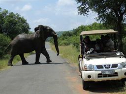 Parc Hluhluwe-iMfolozi - Safaris en véhicules ouverts