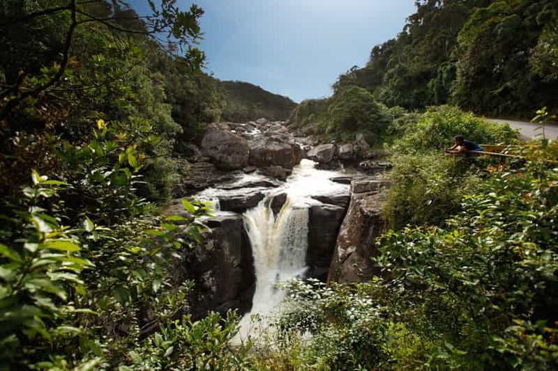 Billet 5 jours d'évasion sauvage : Aventure à Ranomafana depuis Antananarivo