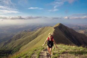Depuis Panama City : Excursion d'une journée dans la vallée d'Anton avec randonnée