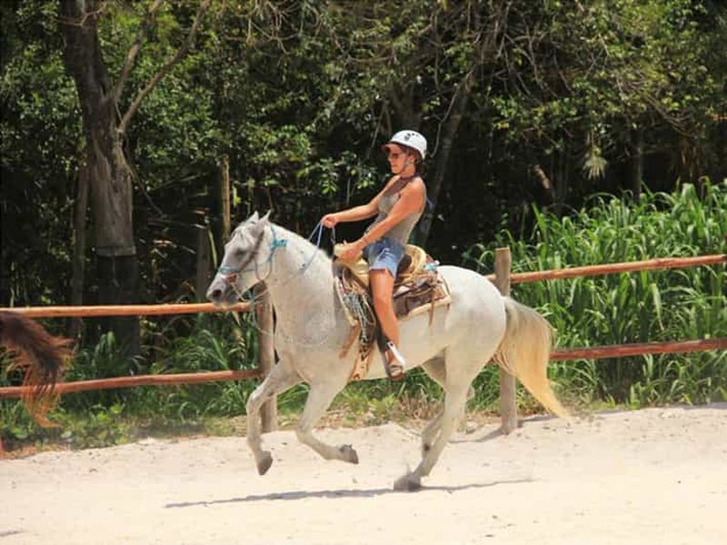 Tulum : Equitation dans la jungle avec transferts et déjeuner