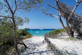 Au départ de Calvi : visite guidée en jeep de l'Agriate jusqu'à Lotu et Saleccia