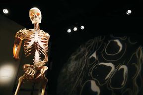 Las Vegas : BODIES | L'exposition au Luxor