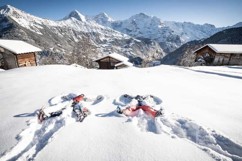 Au départ d'Interlaken : visite guidée en raquettes