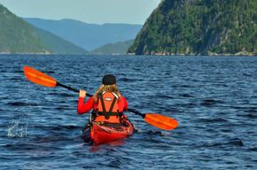 Tadoussac : aventure guidée en kayak de mer