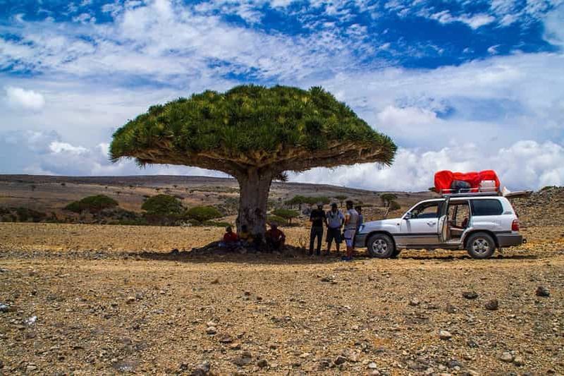 2Ile de Socotra : visite privée de 8 jours en pension complète