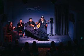 Valence : billet pour le spectacle de flamenco au Palosanto